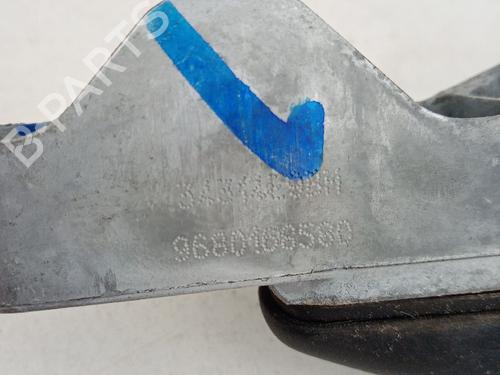 Türgriff vorne rechts außen CITROËN BERLINGO MULTISPACE (B9) 1.6 HDi 90 | BP21039465C129