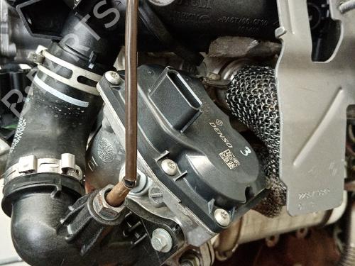 Engine RENAULT MEGANE III Grandtour (KZ0/1) 1.5 dCi (KZ09, KZ0D, KZ1G, KZ29, KZ14, KZ1W, KZ10, KZ1F,... | BP21040238M1