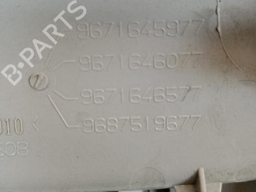 Interior roof light CITROËN C4 II (NC_) 1.6 BlueHDi 100 | BP21041877I8 