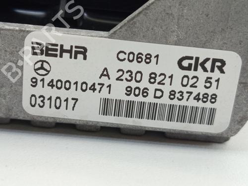 Electronic module MERCEDES-BENZ E-CLASS (W211) E 240 4-matic (211.080) | BP22995567M83 