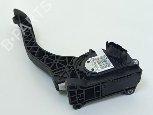 Pedal PEUGEOT 308 II (LB_, LP_, LW_, LH_, L3_) 1.6 BlueHDi 120 | BP25488277I4 
