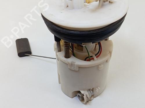 Fuel pump FORD FIESTA VI (CB1, CCN) 1.25 | BP26190646M76