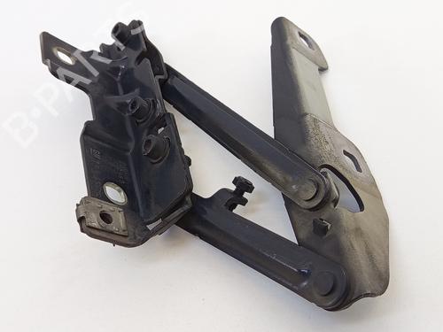 Hinge/Door check strap OPEL INSIGNIA A Saloon (G09) 2.0 CDTI (69) | BP31253479C146