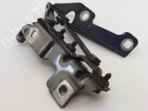 Hinge/Door check strap OPEL INSIGNIA A Saloon (G09) 2.0 CDTI (69) | BP31253479C146