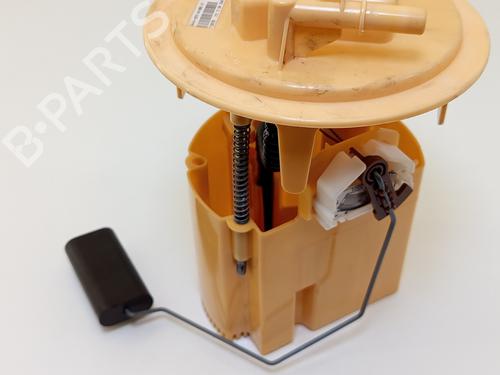 Fuel pump CITROËN C4 Picasso II 1.6 HDi 90 | BP31253521M76 