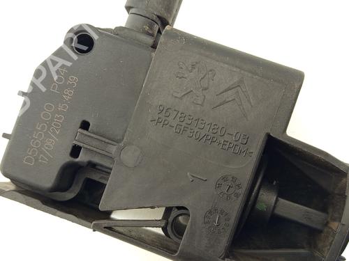 Fuel flap CITROËN C4 Picasso II 1.6 HDi 90 | BP29149102C131