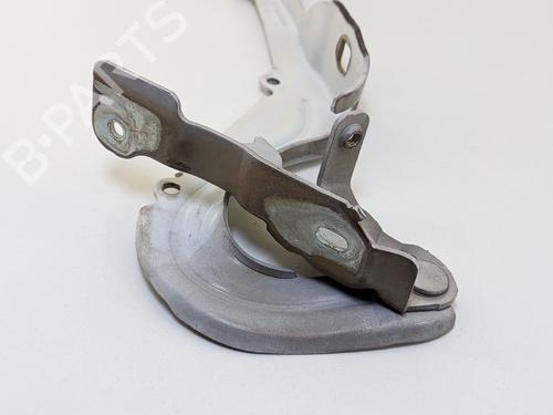 Hinge/Door check strap CITROËN C3 III (SX) 1.6 BlueHDi 100 | BP31253531C146