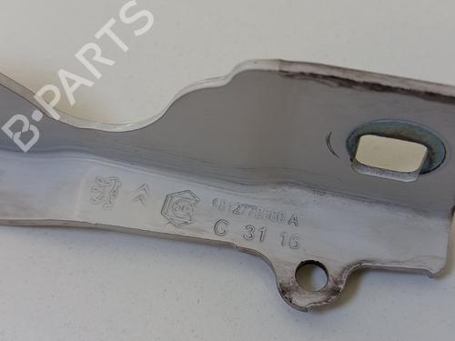 Hinge/Door check strap CITROËN C3 III (SX) 1.6 BlueHDi 100 | BP31253532C146