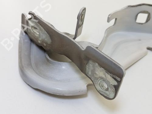 Hinge/Door check strap CITROËN C3 III (SX) 1.6 BlueHDi 100 | BP31253532C146