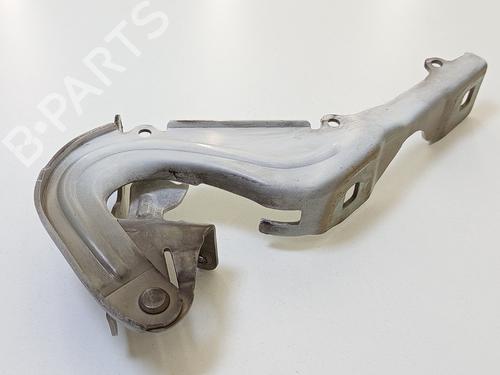 Hinge/Door check strap CITROËN C3 III (SX) 1.6 BlueHDi 100 | BP31253532C146