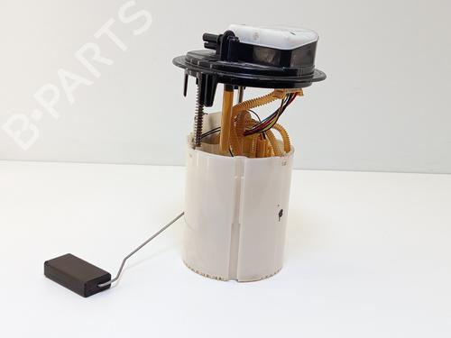 Used Fuel pump CITROËN C4 II (NC_) 1.6 BlueHDi 100 (99 hp) 29246158