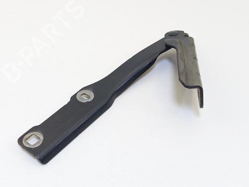 Hinge/Door check strap DACIA SANDERO 1.6 (BS0D, BS0B, BS0F, BS0H) | BP31253548C146