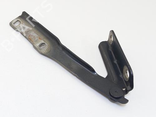 Hinge/Door check strap DACIA SANDERO 1.6 (BS0D, BS0B, BS0F, BS0H) | BP31253548C146