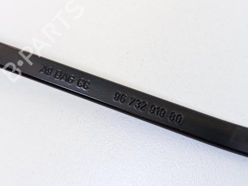 Front wiper motor PEUGEOT 208 I (CA_, CC_) 1.6 HDi | BP29512582M29 