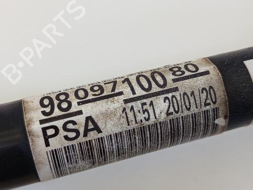 Other CITROËN C3 AIRCROSS II (2R_, 2C_) 1.2 PureTech 110 (2RHNZB, 2RHNZW, 2RHNPX, 2RHNPJ) | BP30734044O1 