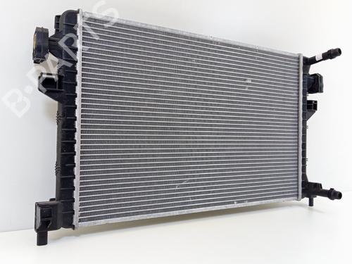 Water radiator VW PASSAT B8 (3G2, CB2) 1.6 TDI | BP31817331M31 