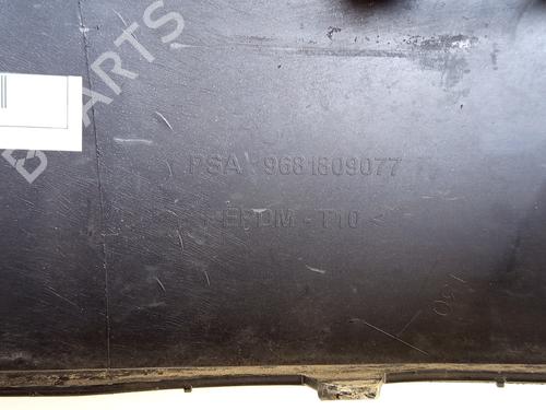 Grill PEUGEOT PARTNER Tepee 1.6 HDi | BP31931835C40 
