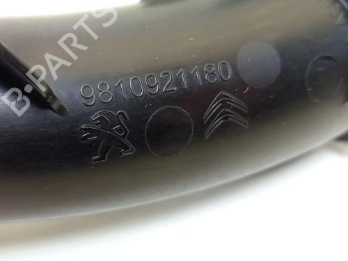 Turbocharger/Supercharger PEUGEOT EXPERT Van (V_) 1.5 BlueHDi 120 | BP32217835M71