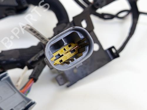 Wiring harness PEUGEOT EXPERT Van (V_) 1.5 BlueHDi 120 | BP32238614E16