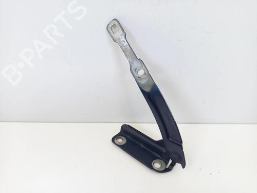Hinge/Door check strap DACIA LOGAN II TCe 90 (L8MA, L8M1, L8AC) | BP35770325C146 - Image 2