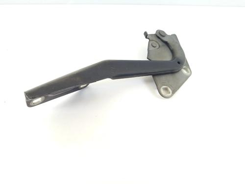hingedoor-check-strap-renault-megane-iii-hatchback-bz01_-b3_-2008-36001890 main image