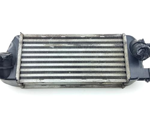 Intercooler Intercooler FIAT 500 (312_) 1.3 D Multijet (312AXE1A) (95 hp) 39729352 39729352