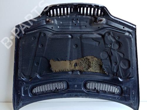 Hood BMW X5 (E53) 3.0 i | BP21041106C1 
