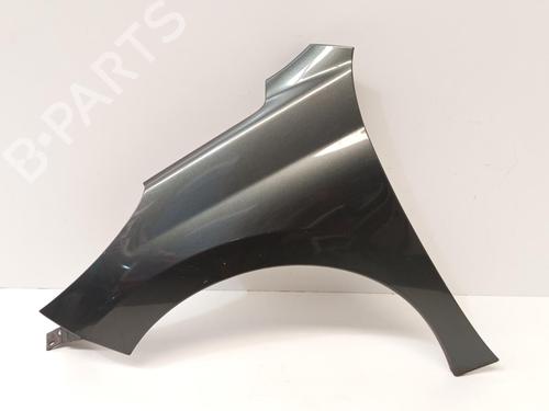 Used Left front fenders PEUGEOT 207 (WA_, WC_) 1.4 16V (95 hp) 29698032