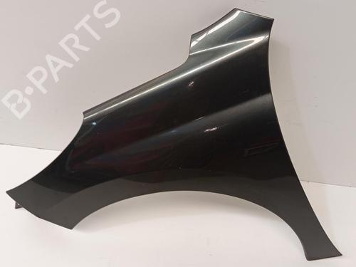 Left front fenders PEUGEOT 207 (WA_, WC_) 1.4 16V | BP29698032C41