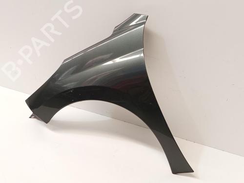 Left front fenders PEUGEOT 207 (WA_, WC_) 1.4 16V | BP29698032C41