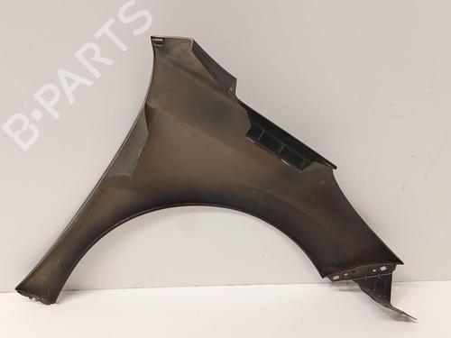 Left front fenders PEUGEOT 207 (WA_, WC_) 1.4 16V | BP29698032C41