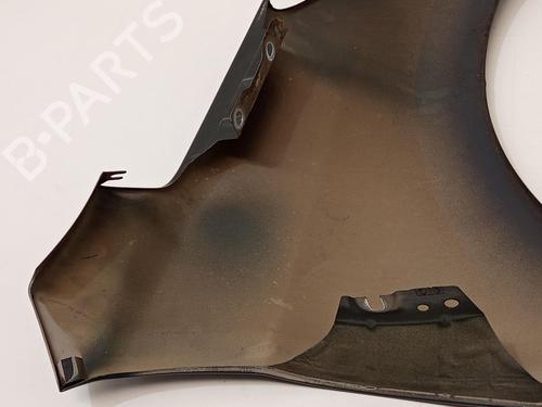 Left front fenders PEUGEOT 207 (WA_, WC_) 1.4 16V | BP29698032C41