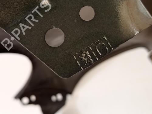 Left front fenders PEUGEOT 207 (WA_, WC_) 1.4 16V | BP29698032C41