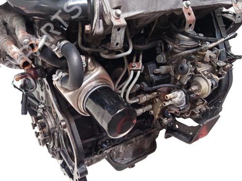 Engine OPEL VECTRA B (J96) 1.7 TD (F19) | BP29397195M1 