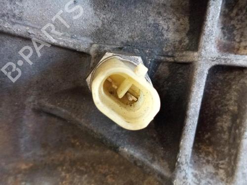 Gearbox OPEL VECTRA B (J96) 1.7 TD (F19) | BP29397196M3 