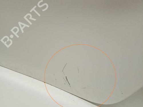 Left rear door FIAT GRANDE PUNTO (199_) | BP21041447C4