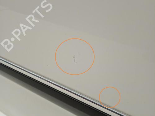 Left rear door FIAT GRANDE PUNTO (199_) | BP21041447C4