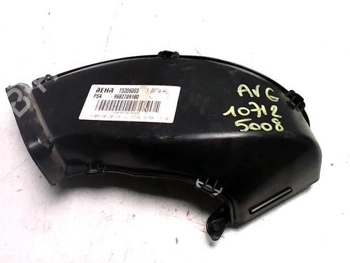 Pipe PEUGEOT 5008 (0U_, 0E_) 2.0 HDi | BP25416969M125