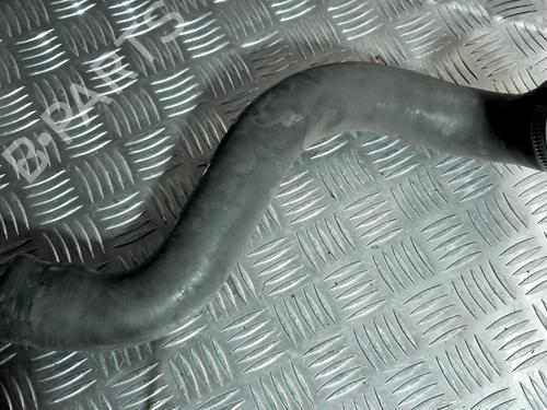 Pipe RENAULT SCÉNIC II (JM0/1_) 1.5 dCi (JM1E, JM16) | BP31231694M125