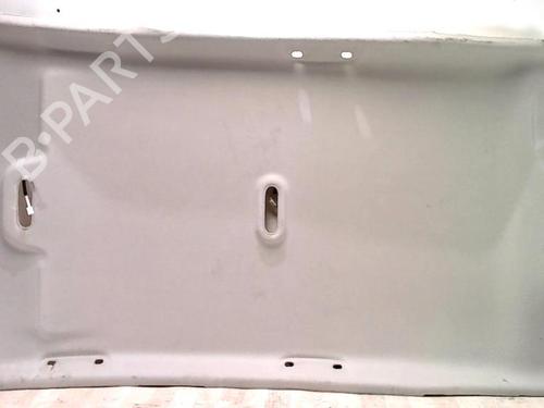 Interiør taket RENAULT MODUS / GRAND MODUS (F/JP0_) 1.5 dCi (FP0F, JP0F) (86 hp) 31230209