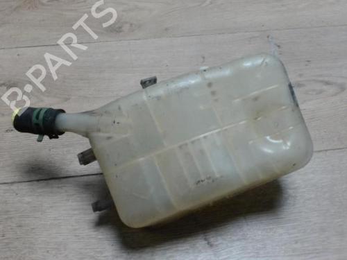 Expansion tank RENAULT SCÉNIC III (JZ0/1_) 1.5 dCi | BP29053003C120 