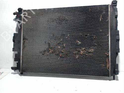 Used Water radiator RENAULT SCÉNIC II (JM0/1_) 1.9 dCi (JM0G, JM12, JM1G, JM2C) (120 hp) 25399935