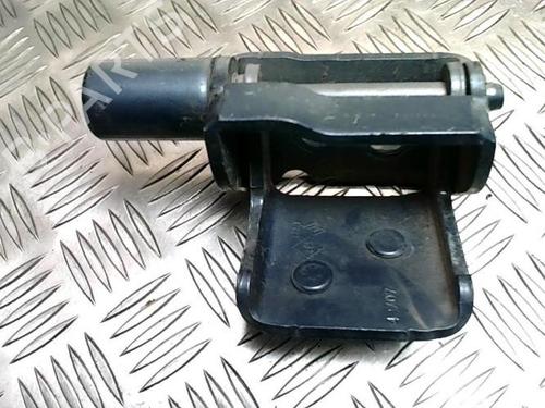 Hinge/Door check strap RENAULT CLIO III (BR0/1, CR0/1) 1.2 16V (BR0P, CR0P) | BP25774641C146 