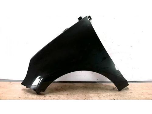 Left front fenders RENAULT SCÉNIC III (JZ0/1_) 1.9 dCi (JZ0J, JZ1J, JZ1K, JZ1S) | BP25420575C41 