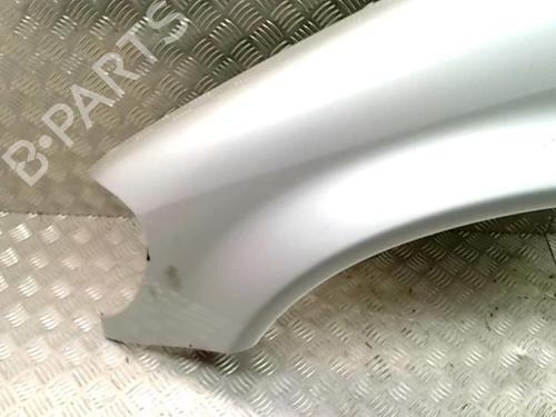 Left front fenders MERCEDES-BENZ M-CLASS (W163) ML 270 CDI (163.113) | BP29687515C41 