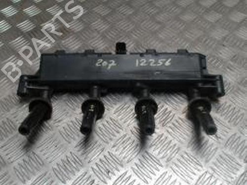 Used Injection rail PEUGEOT 207 (WA_, WC_) 1.4 (73 hp) 30529481