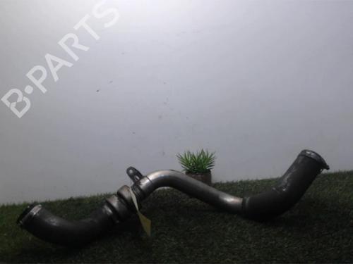 Used Pipe RENAULT SCÉNIC II (JM0/1_) 1.9 dCi (JM0G, JM12, JM1G, JM2C) (120 hp) 25391218