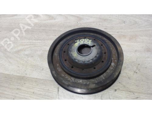 Remskive RENAULT CLIO III (BR0/1, CR0/1) 1.5 dCi (C/BR0G, C/BR1G) (68 hp) 25414929