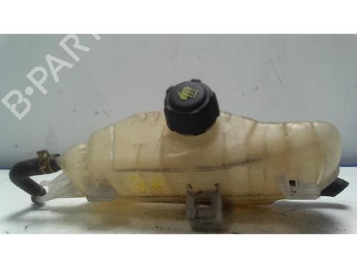 Used Expansion tank RENAULT CLIO III (BR0/1, CR0/1) 1.5 dCi (75 hp) 25418509
