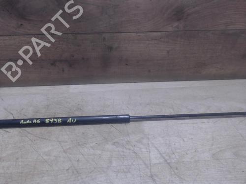 Pansergassdemper AUDI A6 C5 (4B2, 4B4) 1.9 TDI (130 hp) 31220223